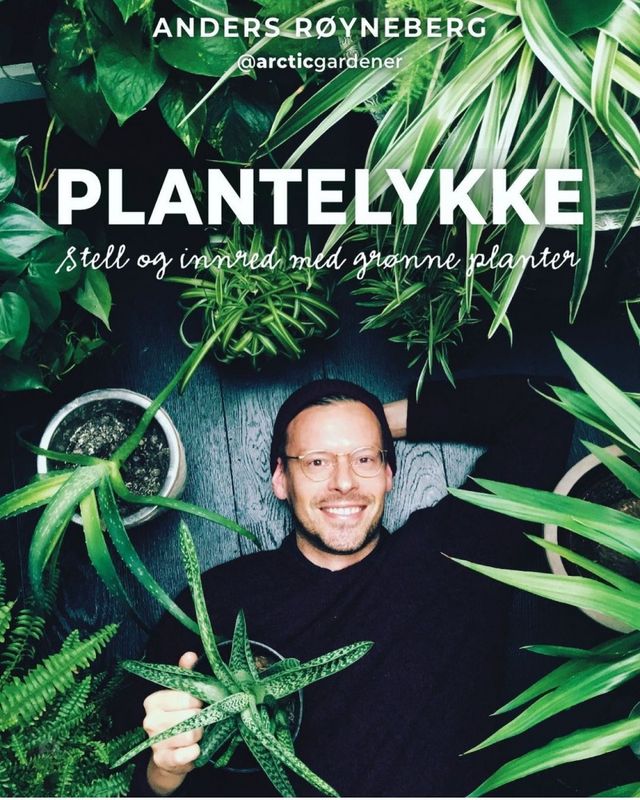 Plantelykke, stell og innred med grønne planter