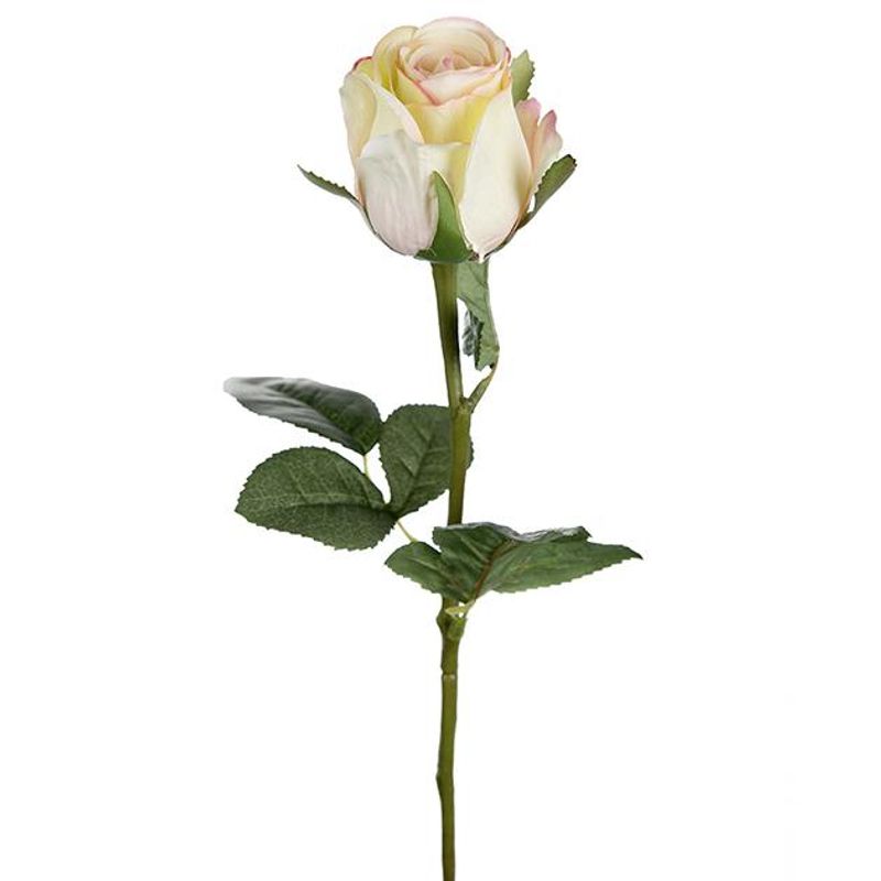 Rose lys gul 50 cm